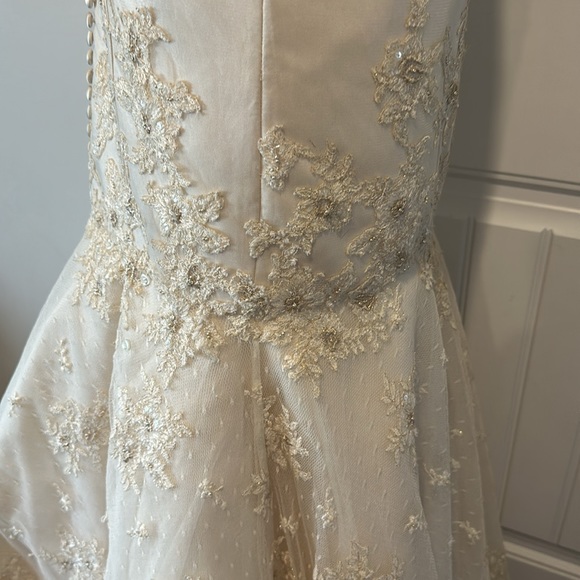 Justin Alexander Wedding Dress - not white - light gold - Picture 15 of 17